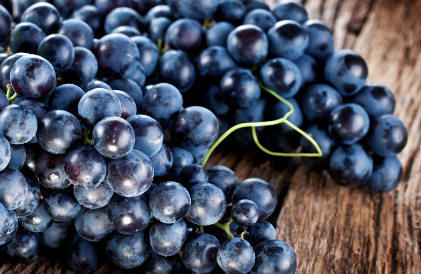 Vinagre de Vinho Tinto Sem Conservantes