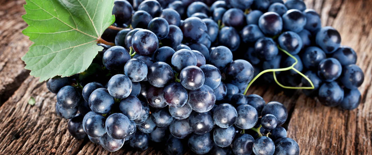 Vinagre de Vinho Tinto Sem Conservantes